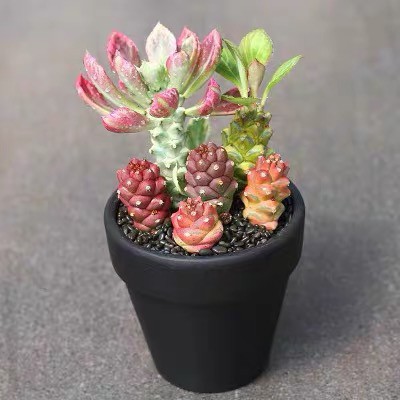 426534a7c2b4d7b62289e179f187b05 426534a7c2b4d7b62289e179f187b05